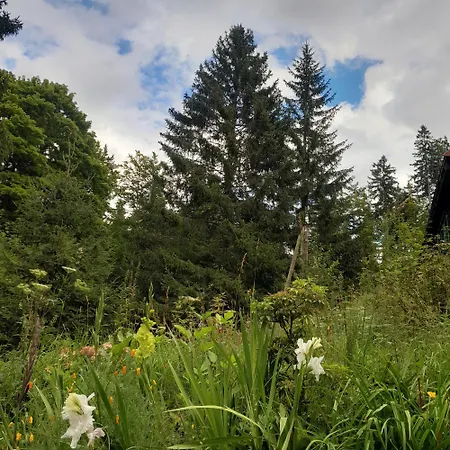 Gorska Perla Goscinne Πανσιόν