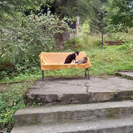 Πανσιόν Gorska Perla Goscinne Międzylesie