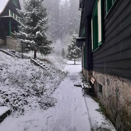 Gorska Perla Goscinne *