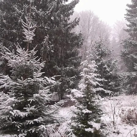 Penzion Gorska Perla Goscinne *