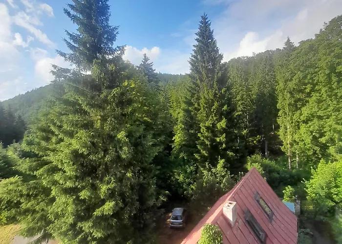 Pensionat Gorska Perla Goscinne Międzylesie