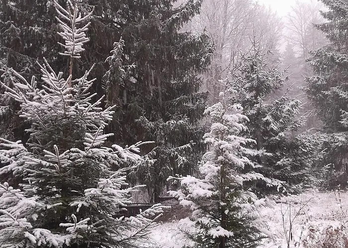 Pensionat Gorska Perla Goscinne *